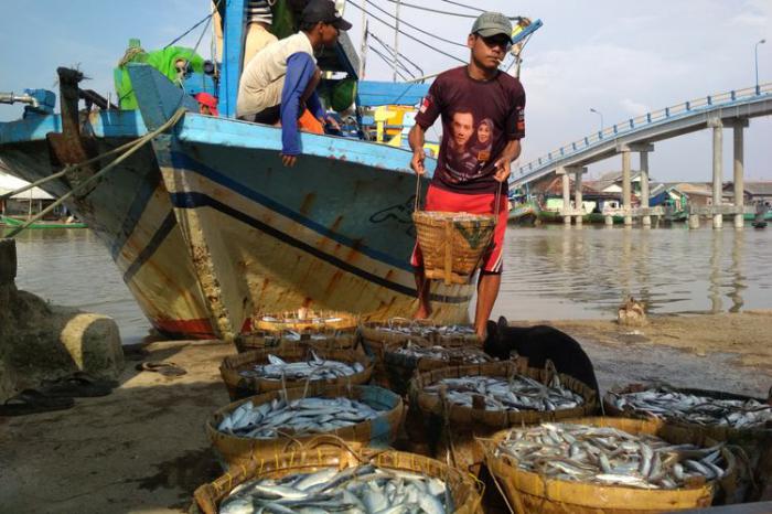 berita desa margakaya karawang